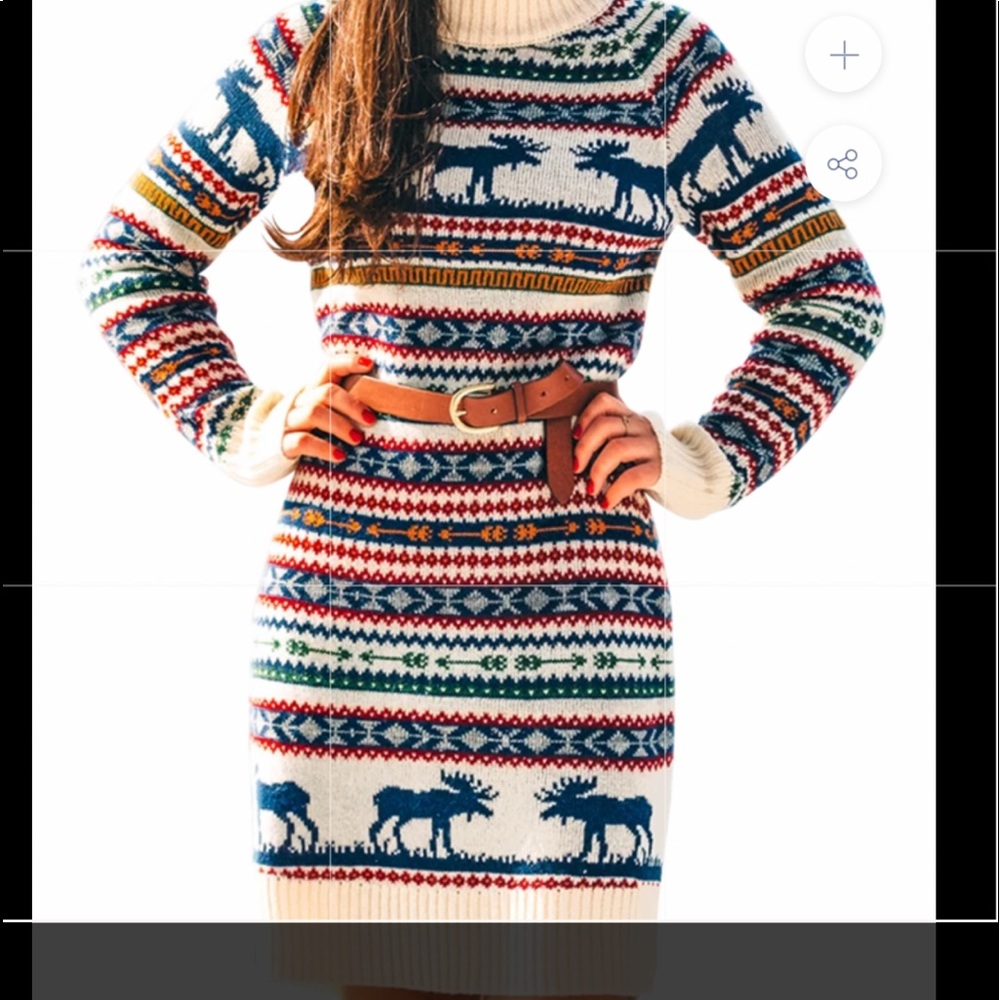 NWT - The Great Moose Dress- Size Small